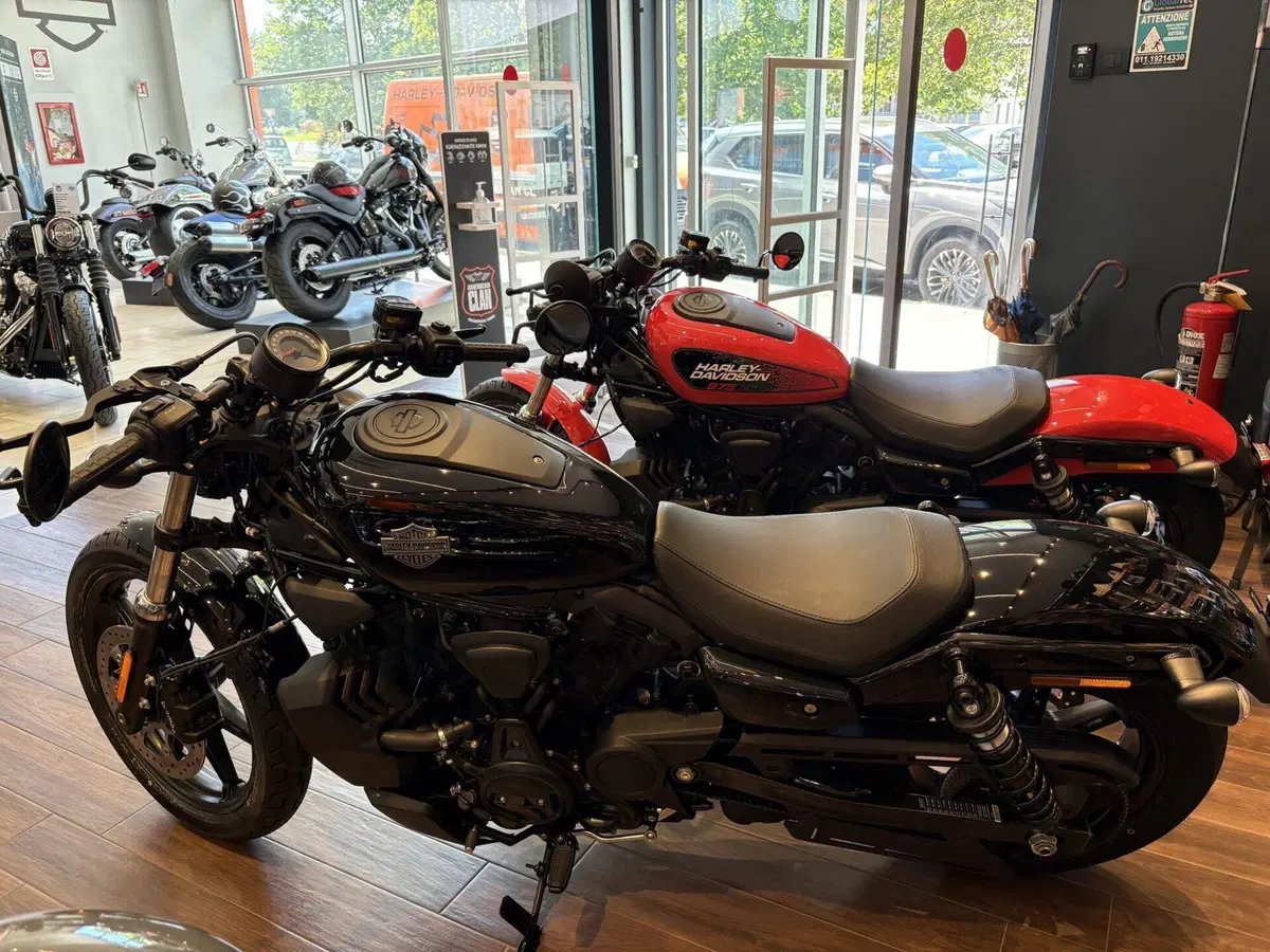 Harley-Davidson Nightster Special (2023 - 26) (2)