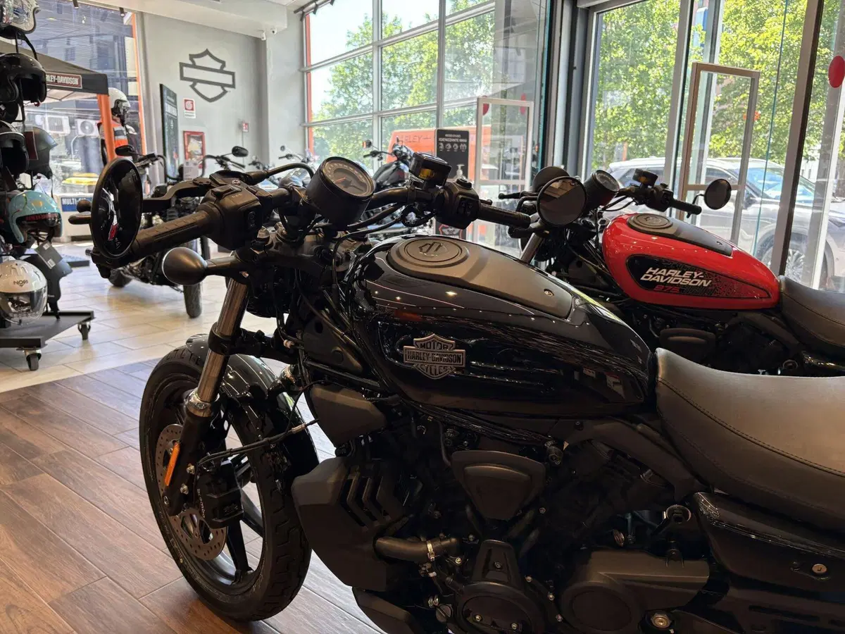 Harley-Davidson Nightster Special (2023 - 26) (4)