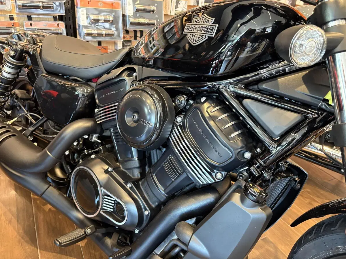 Harley-Davidson Nightster Special (2023 - 26) (5)