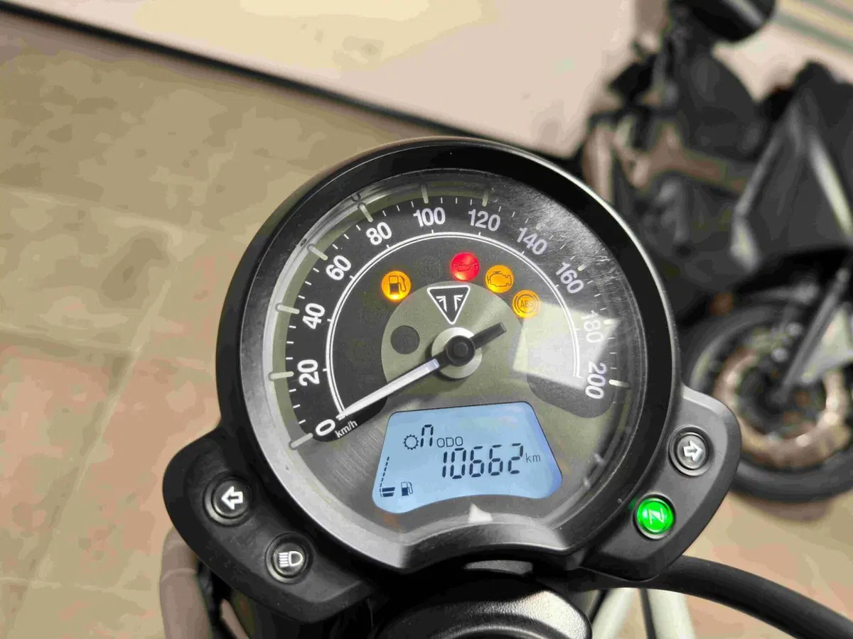 Triumph Street Scrambler 900 (2017 - 18) (5)