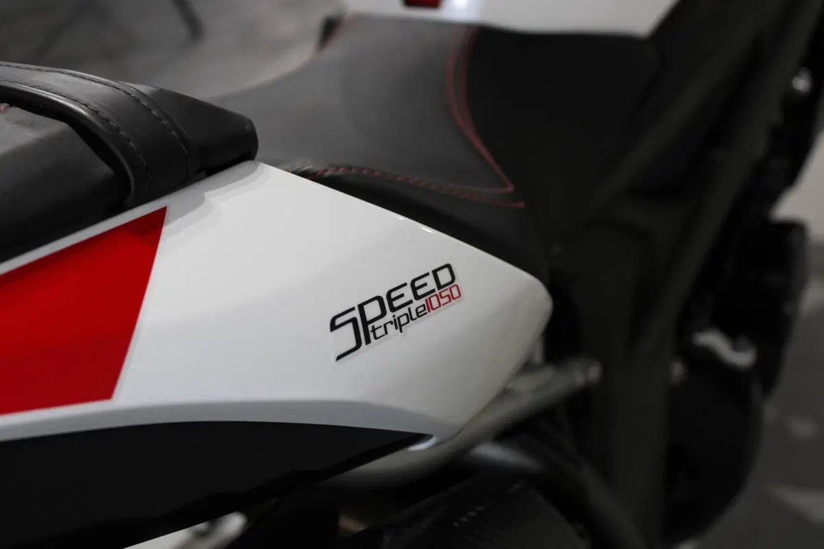 Triumph Speed Triple 1050 RS (2018 - 20) (8)