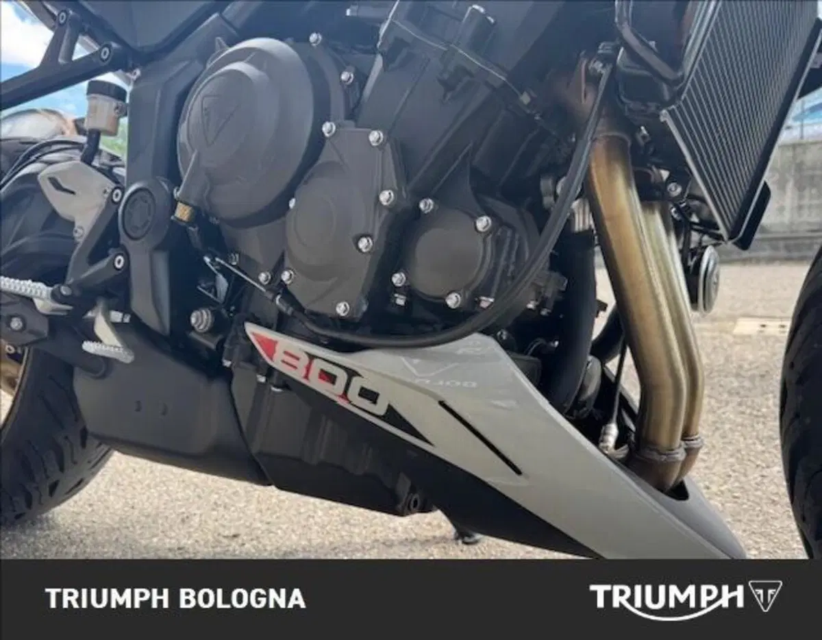 Triumph Trident 800 (2026) (3)