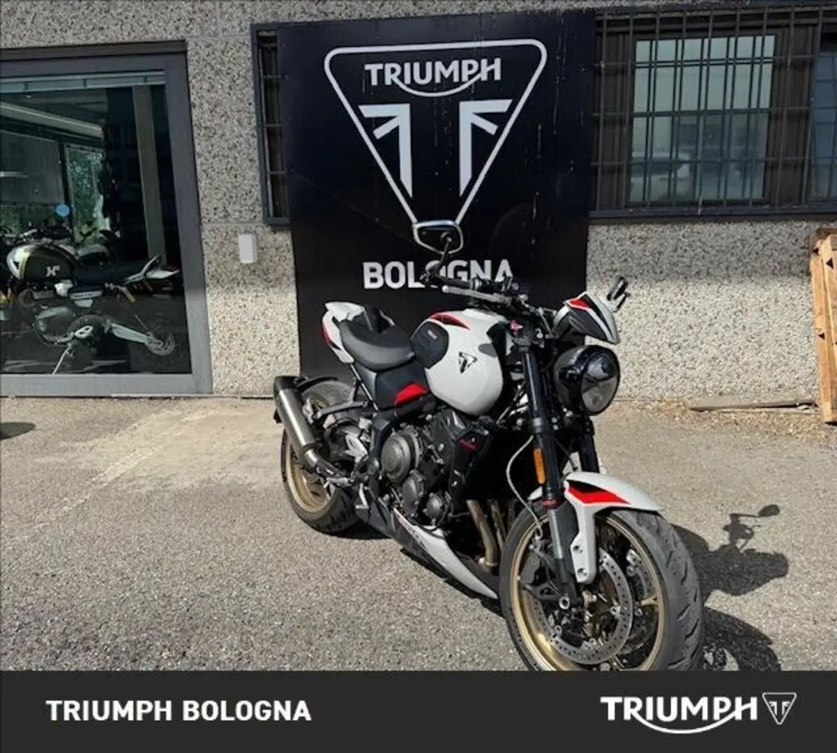 Triumph Trident 800 (2026) (11)