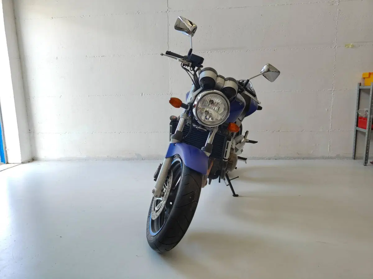 Honda Hornet cb600 (2)