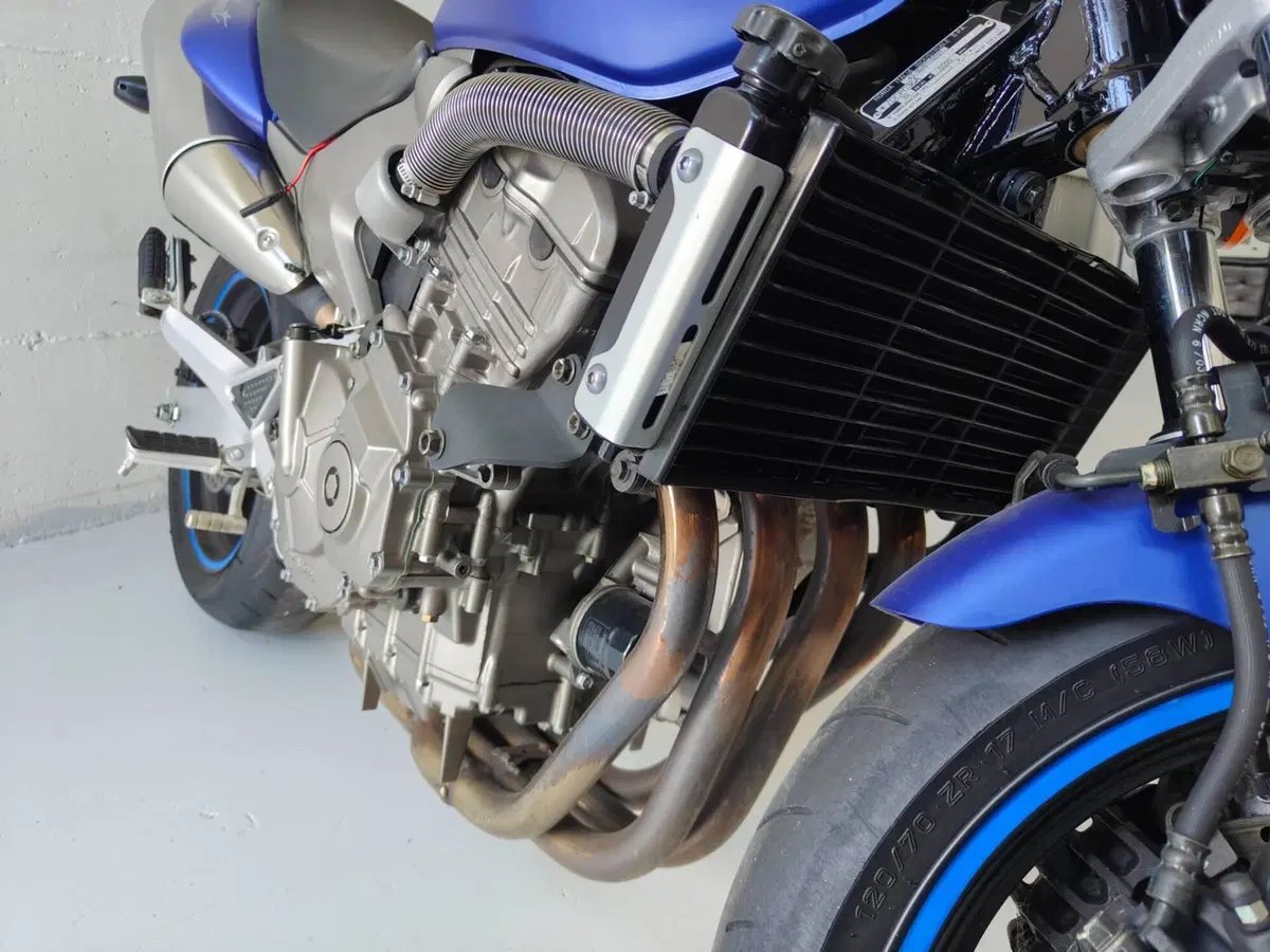 Honda Hornet cb600 (3)
