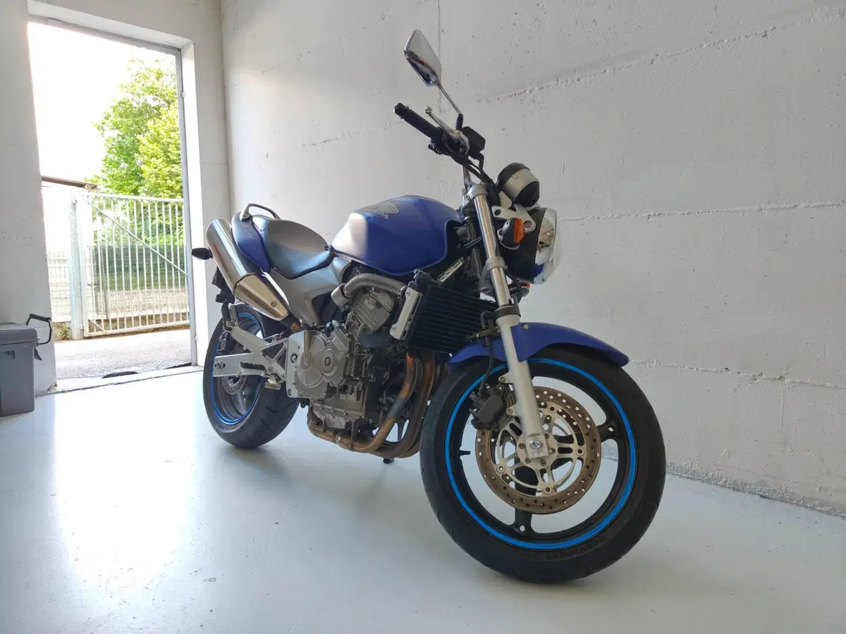 Honda Hornet cb600 (6)