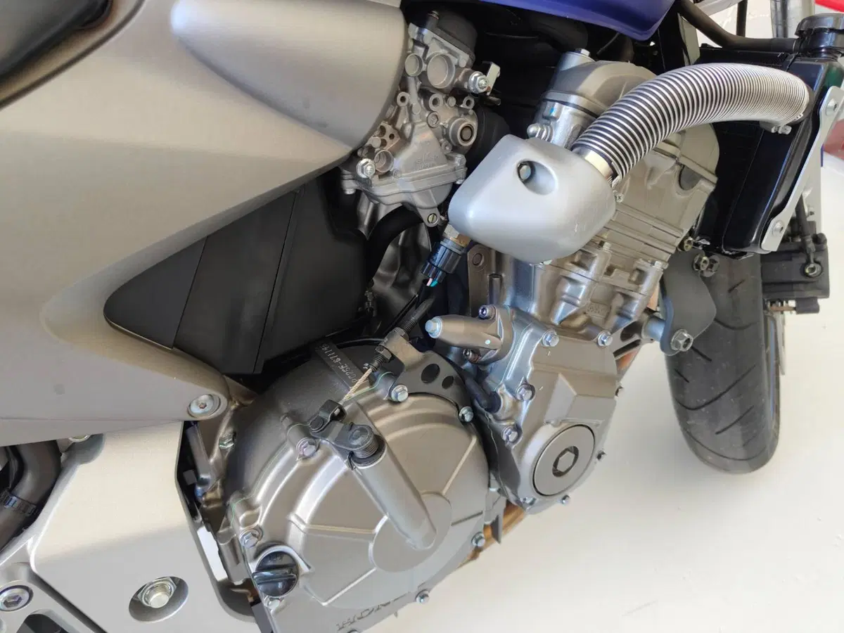 Honda Hornet cb600 (11)