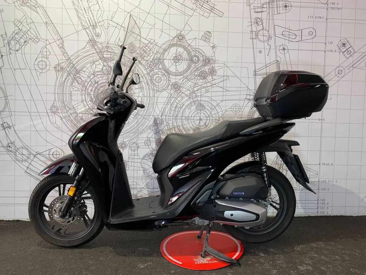 Honda SH 150i (2024 - 25) (2)