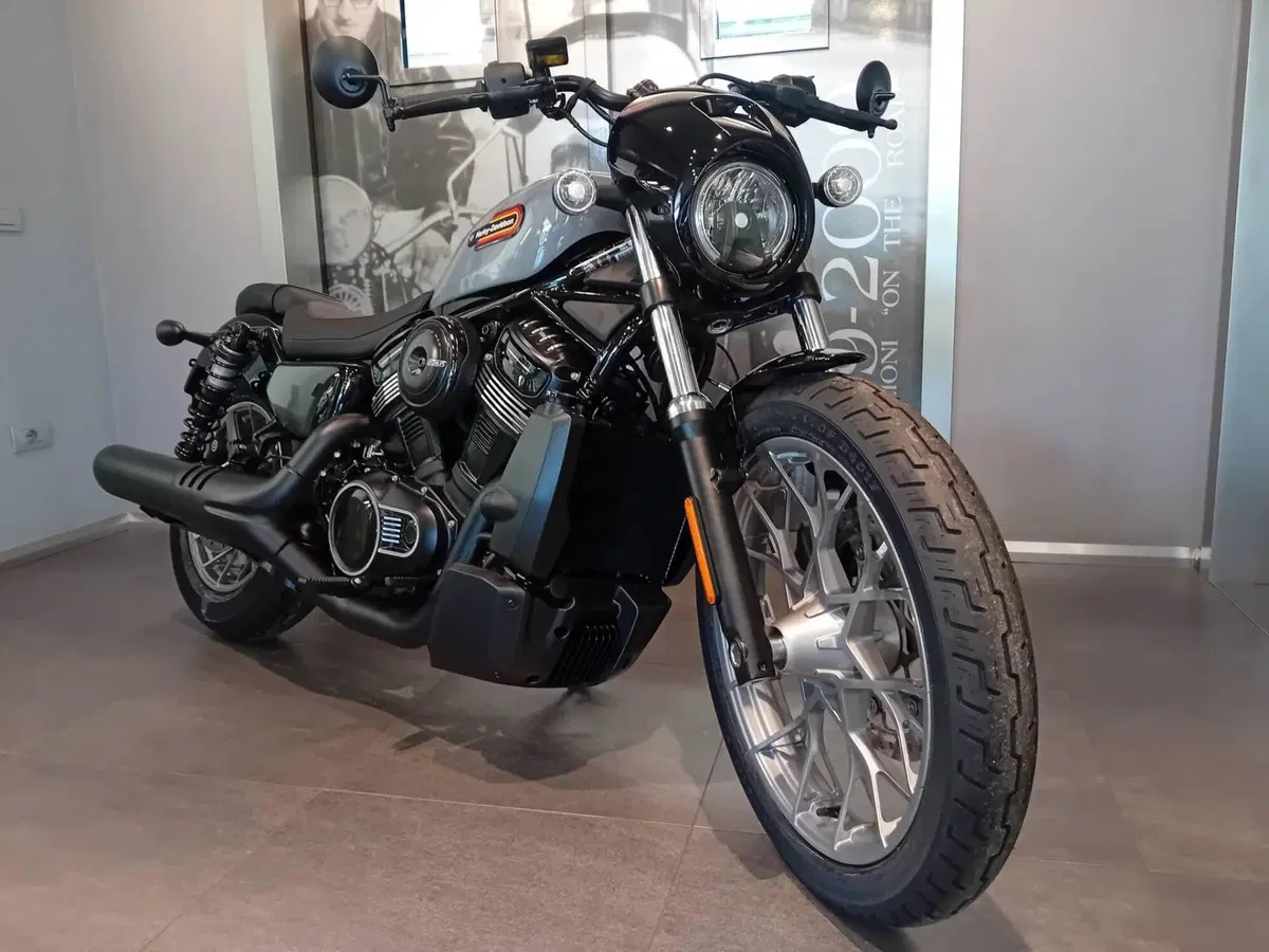 Harley-Davidson Nightster Special (2023 - 26) (3)