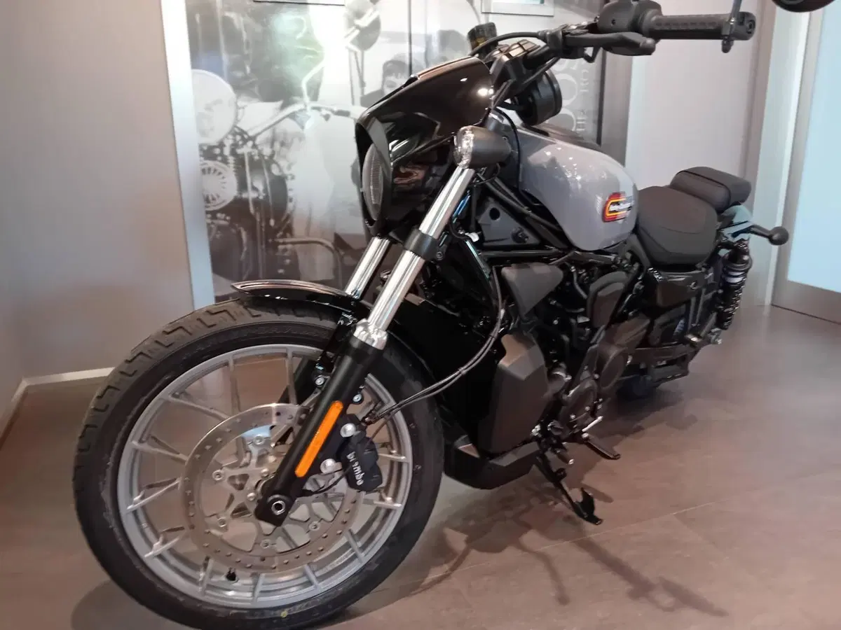 Harley-Davidson Nightster Special (2023 - 26) (4)