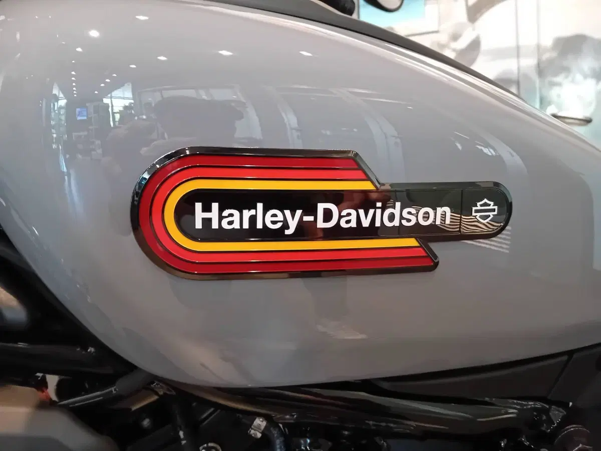 Harley-Davidson Nightster Special (2023 - 26) (5)