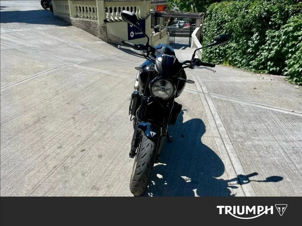 Triumph Trident 800 (2026) (5)
