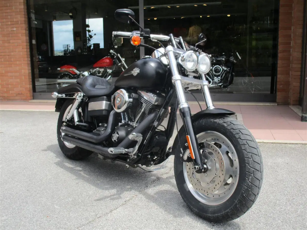 Harley-Davidson 1584 Fat Bob (2007 - 13) - FXDF (2)