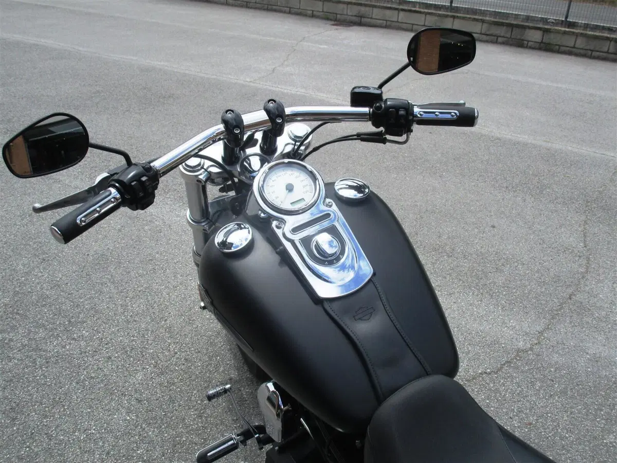 Harley-Davidson 1584 Fat Bob (2007 - 13) - FXDF (7)