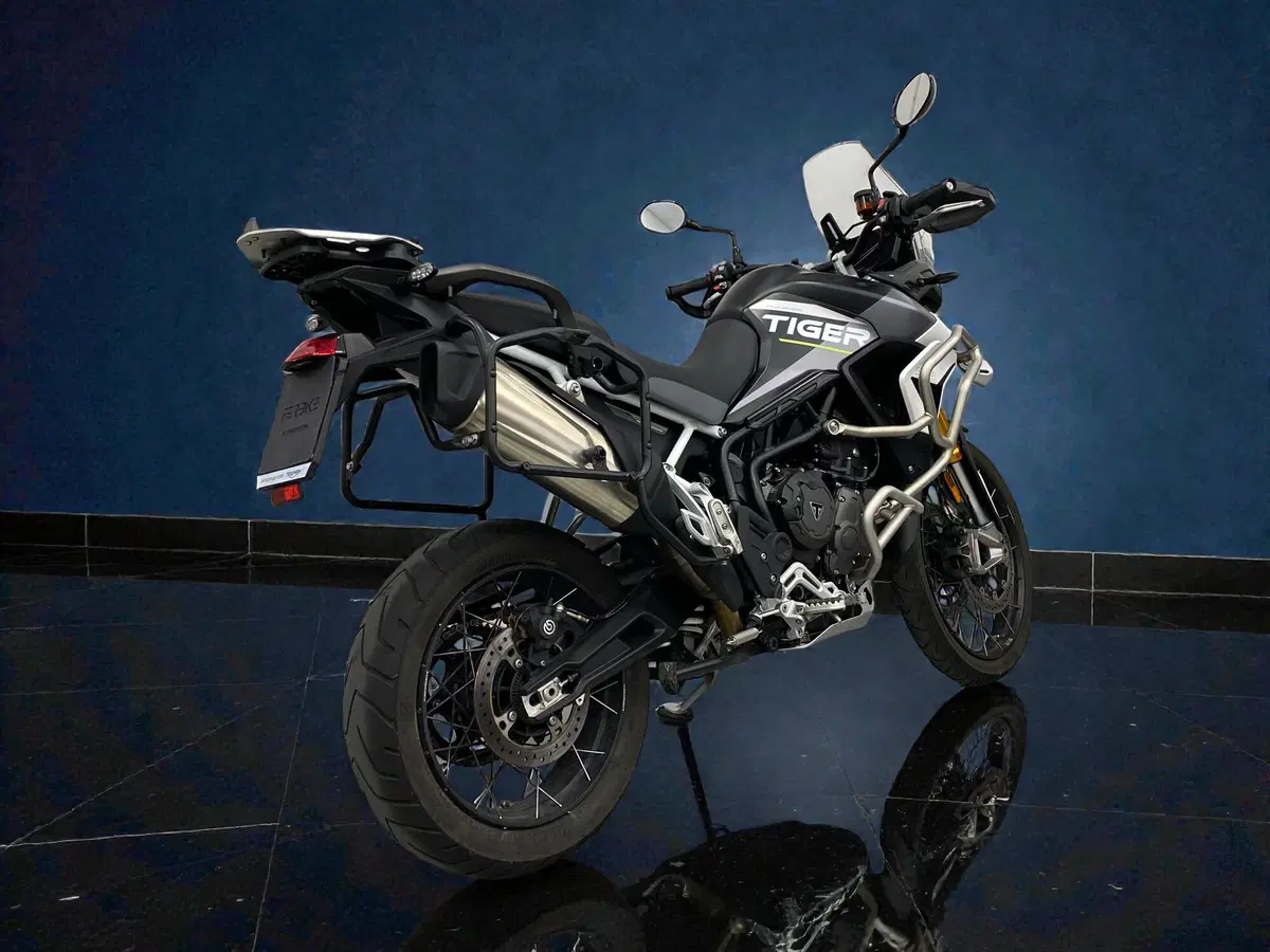 Triumph Tiger 900 Rally Aragón Edition (2023 - 24) (5)