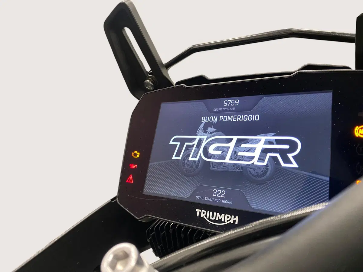 Triumph Tiger 900 Rally Aragón Edition (2023 - 24) (8)