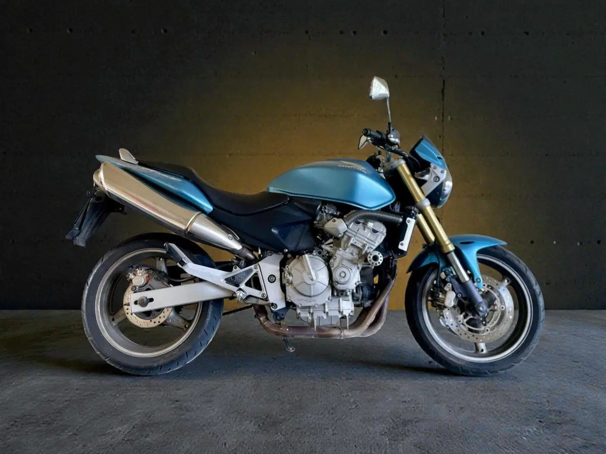Honda Hornet 600 (2005 - 06)
