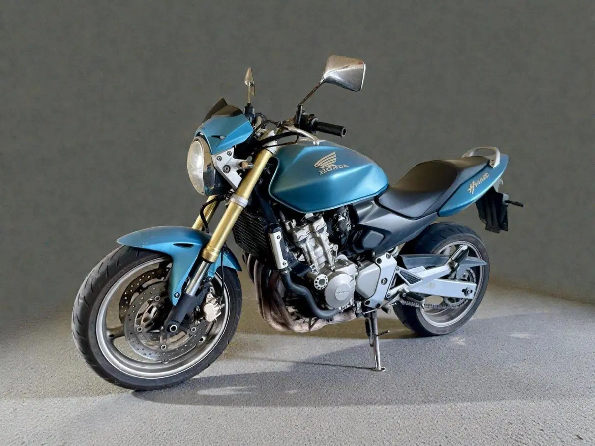 Honda Hornet 600 (2005 - 06) (6)