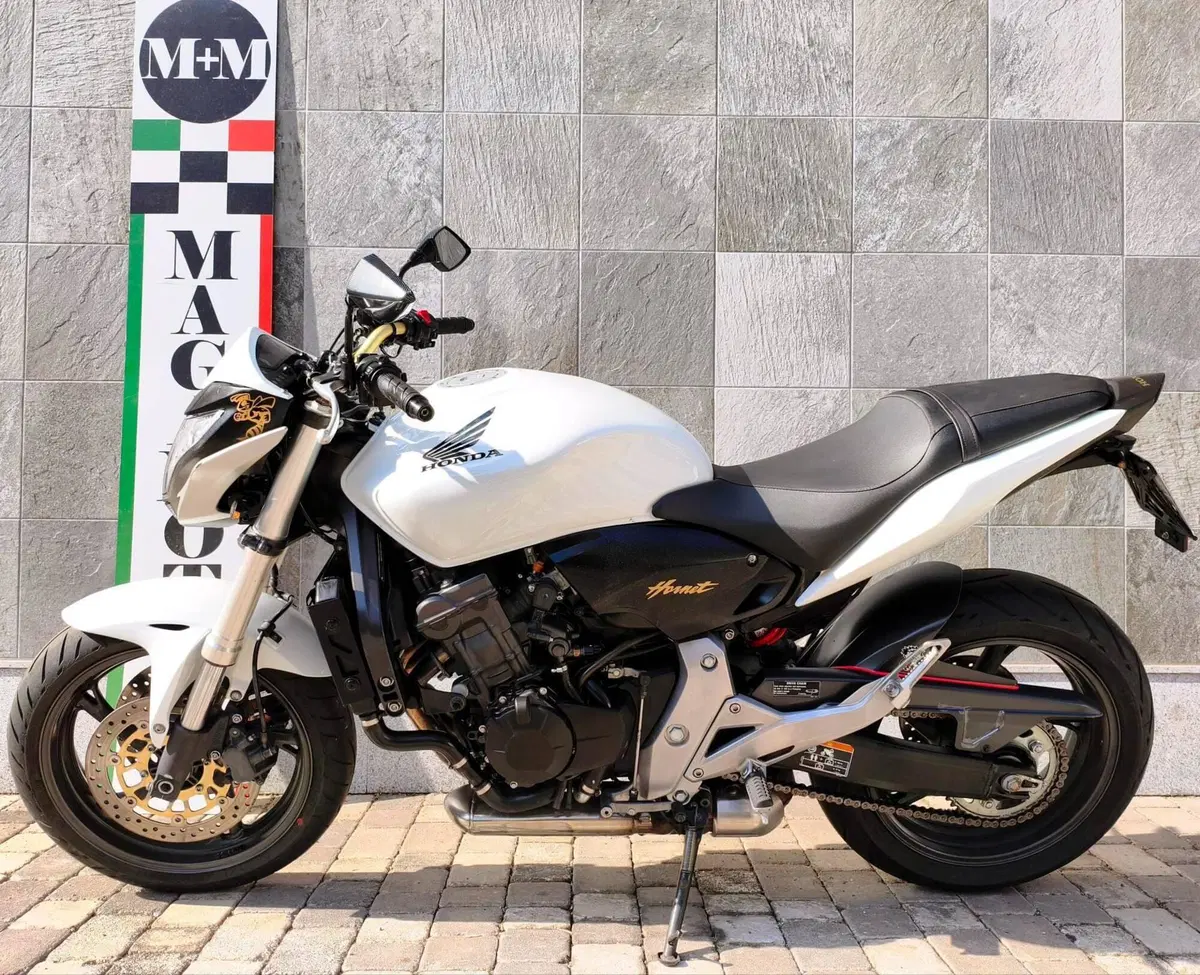 Honda Hornet 600 (2011 - 13) (8)