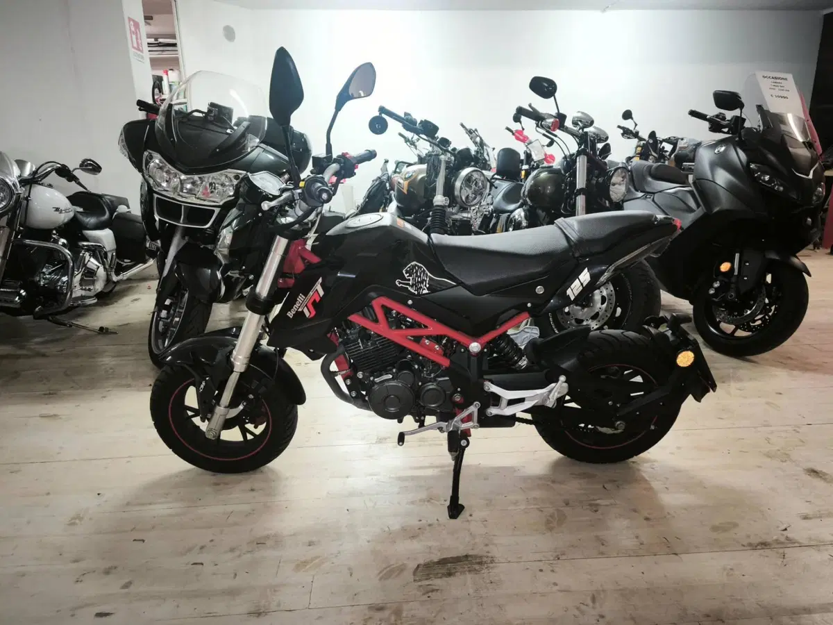 Benelli Tornado Naked T 125 (2017 - 20) (4)