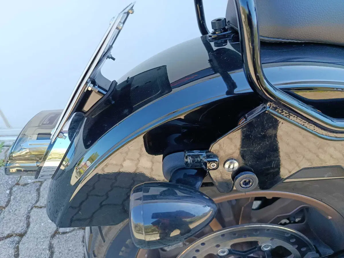 Harley-Davidson 114 Low Rider S (2021) - FXLRS (7)
