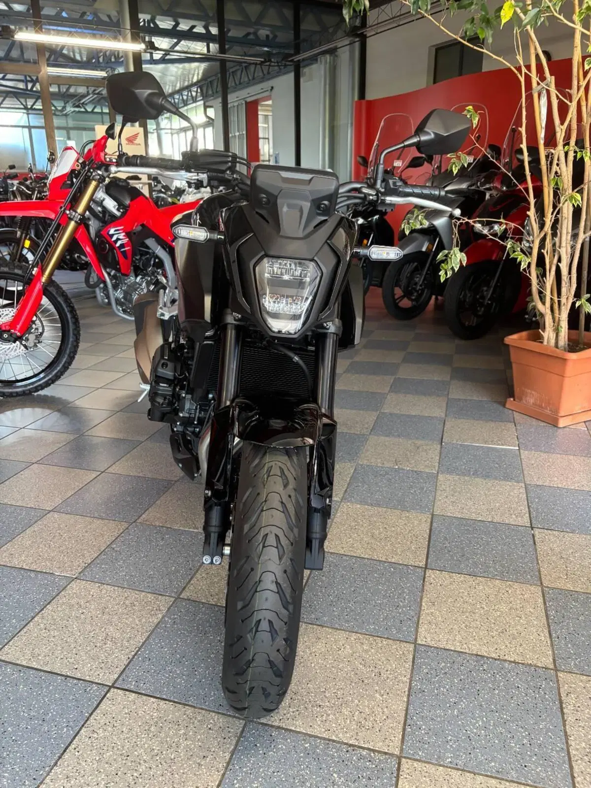 Honda CB 500 Hornet (2026) (2)