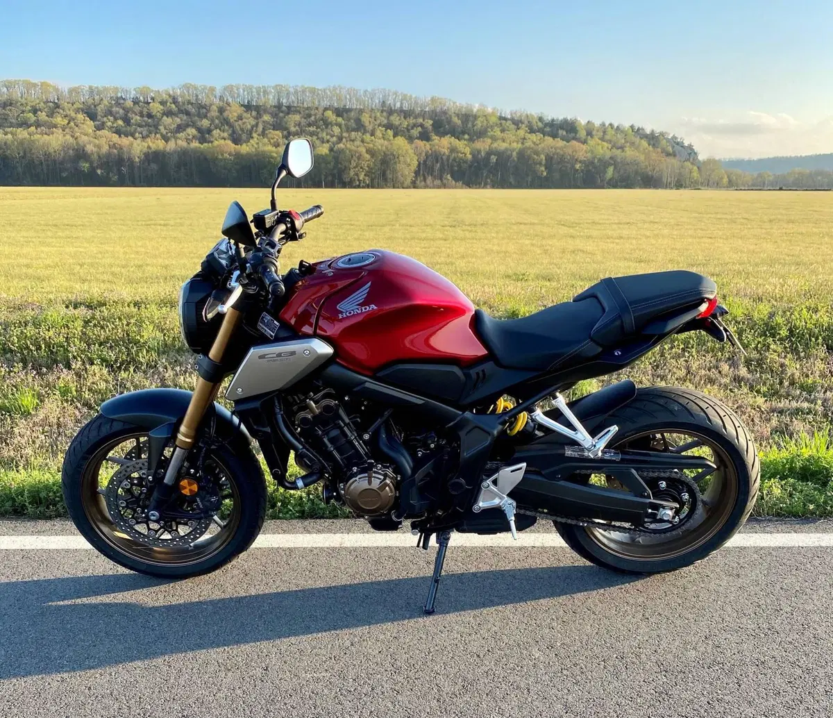 Honda CB 650 R (2021 - 23) (2)