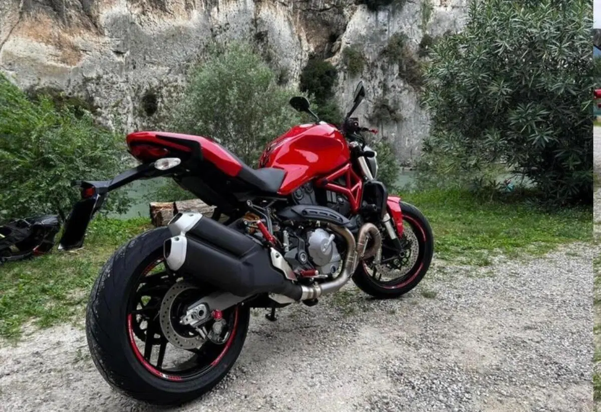 Ducati Monster 821 (2018 - 20) (7)