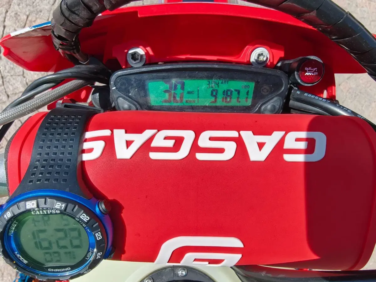 GASGAS EC 250 (2024) (3)