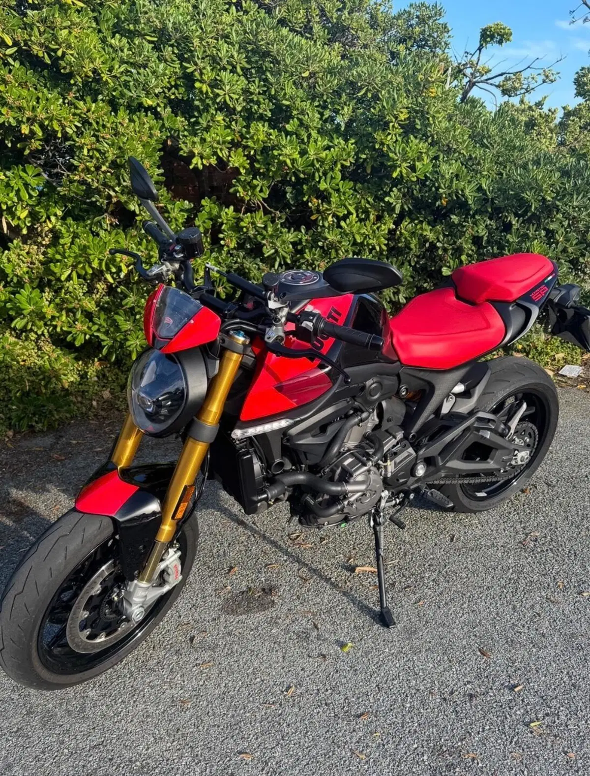 Ducati Monster 937 SP (2023 - 25)
