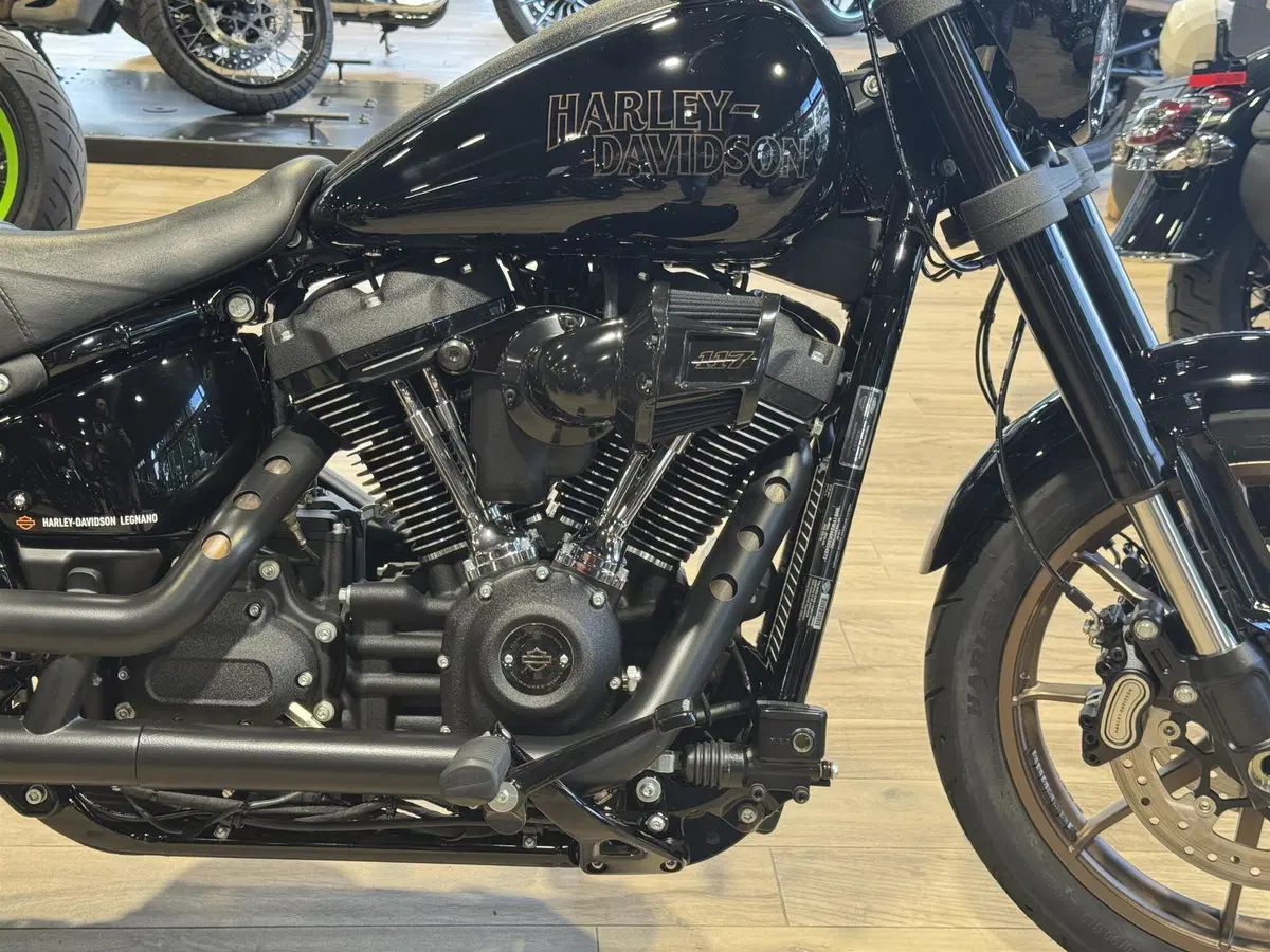 Harley-Davidson Low Rider S (2022 - 24) (2)