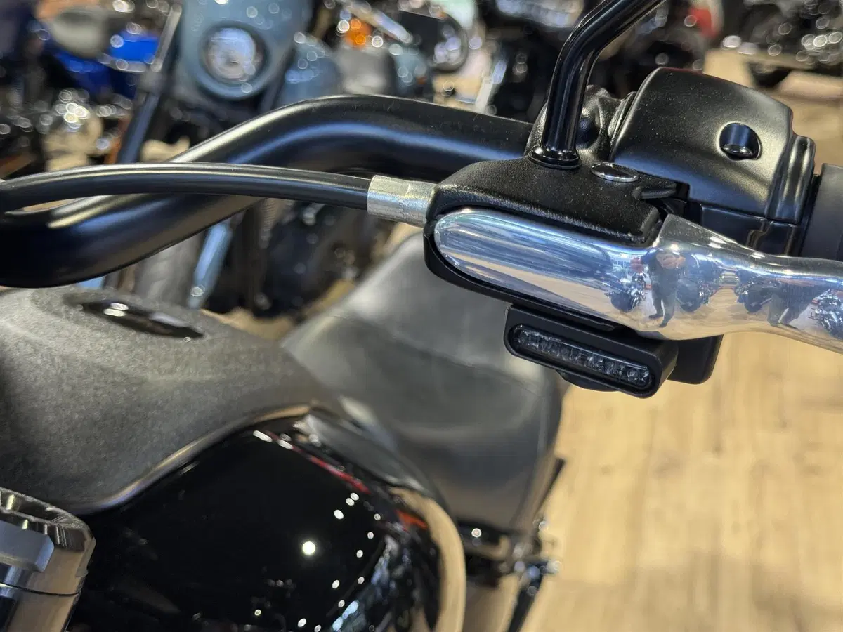 Harley-Davidson Low Rider S (2022 - 24) (5)