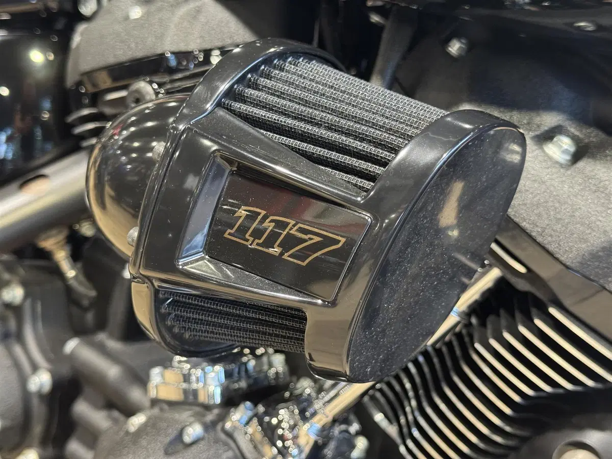 Harley-Davidson Low Rider S (2022 - 24) (4)