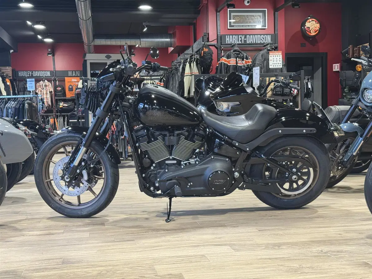 Harley-Davidson Low Rider S (2022 - 24) (6)