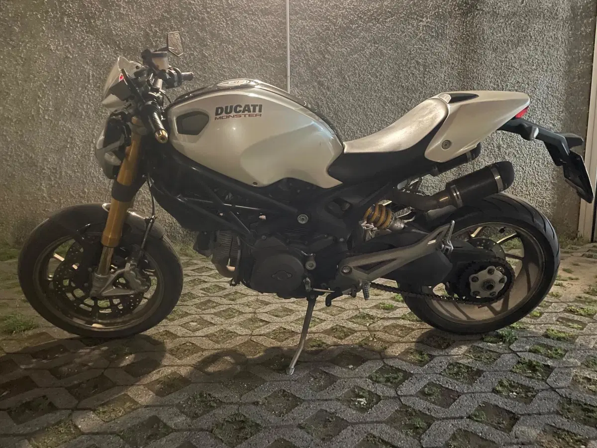 Ducati Monster 1100 S (2009-10)