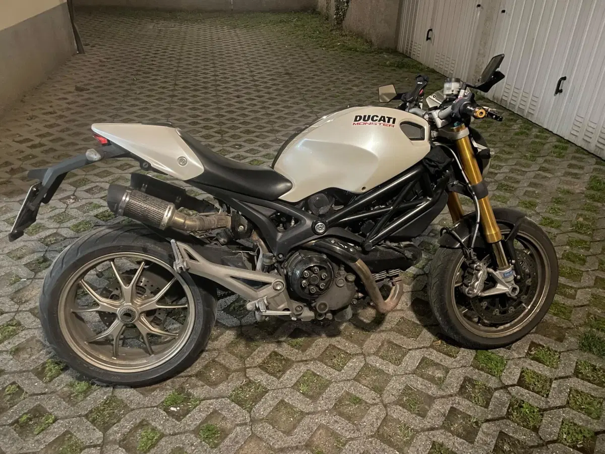 Ducati Monster 1100 S (2009-10) (3)