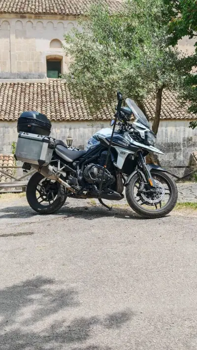 Triumph Tiger 1200 Alpine Edition (2020) usata