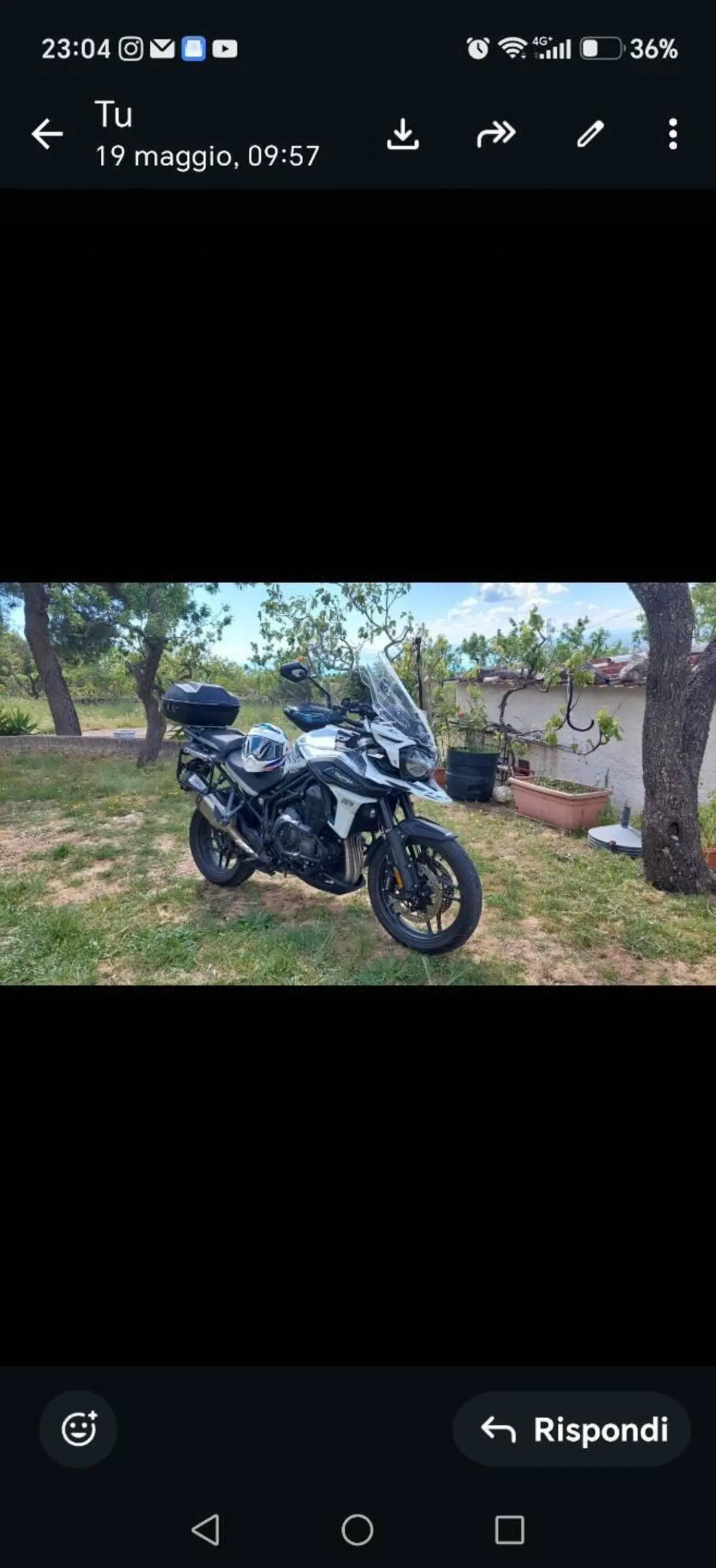 Triumph Tiger 1200 Alpine Edition (2020) (5)