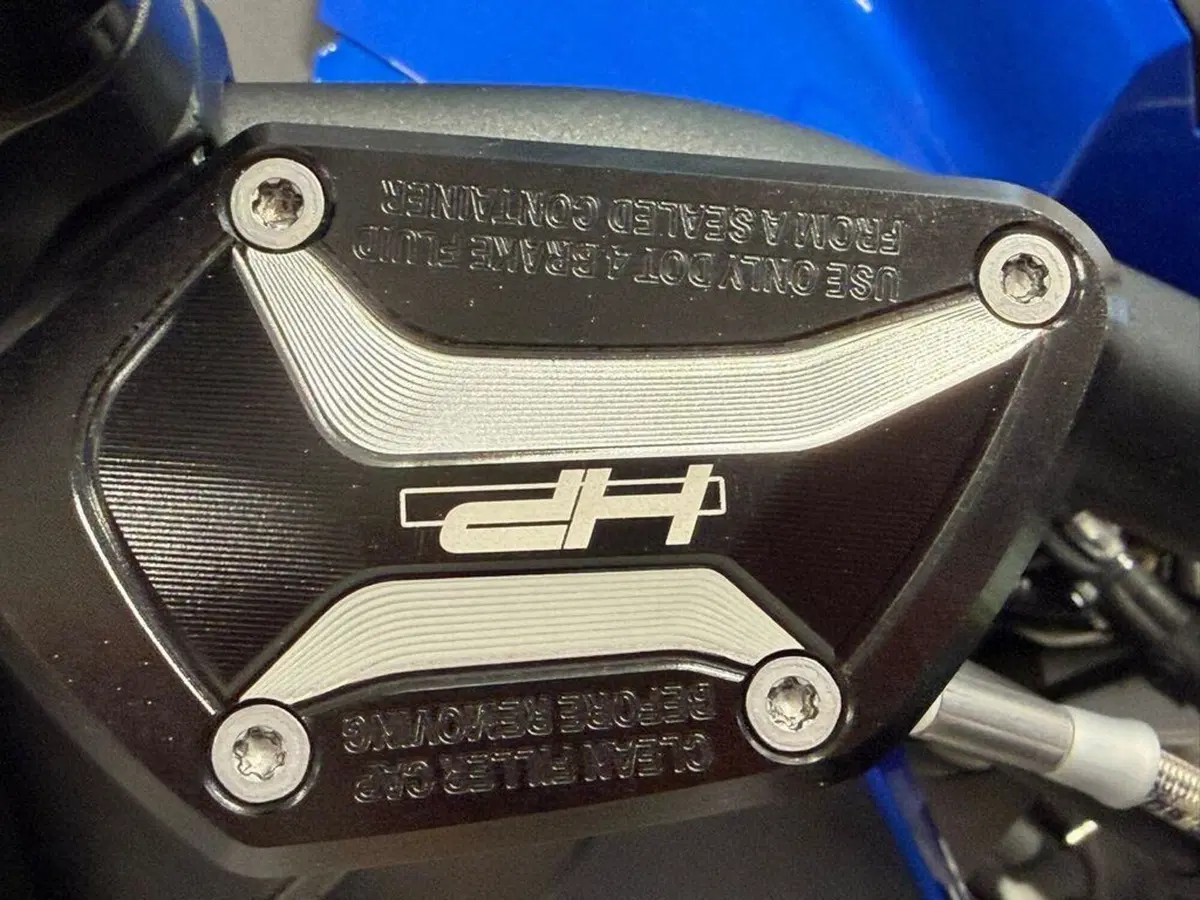 Bmw R 1250 GS Adventure (2019 - 20) (15)