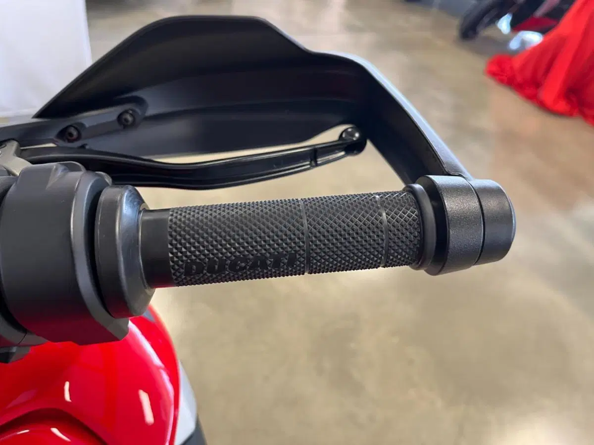 Ducati Multistrada V4 Rally (2023 - 25) (12)