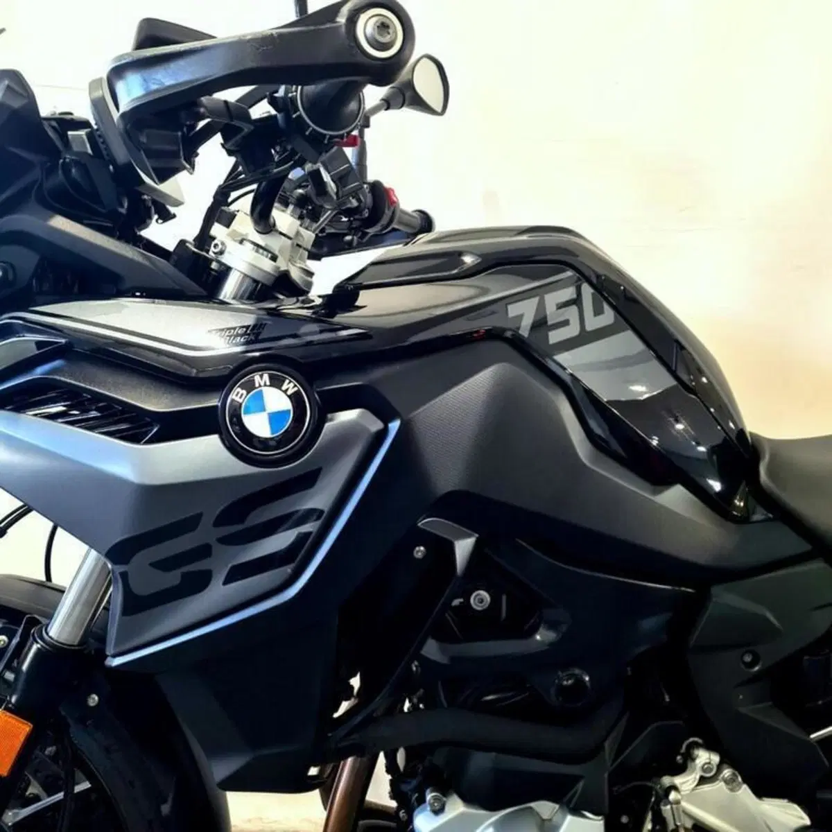 Bmw F 750 GS (2021 - 24) (9)