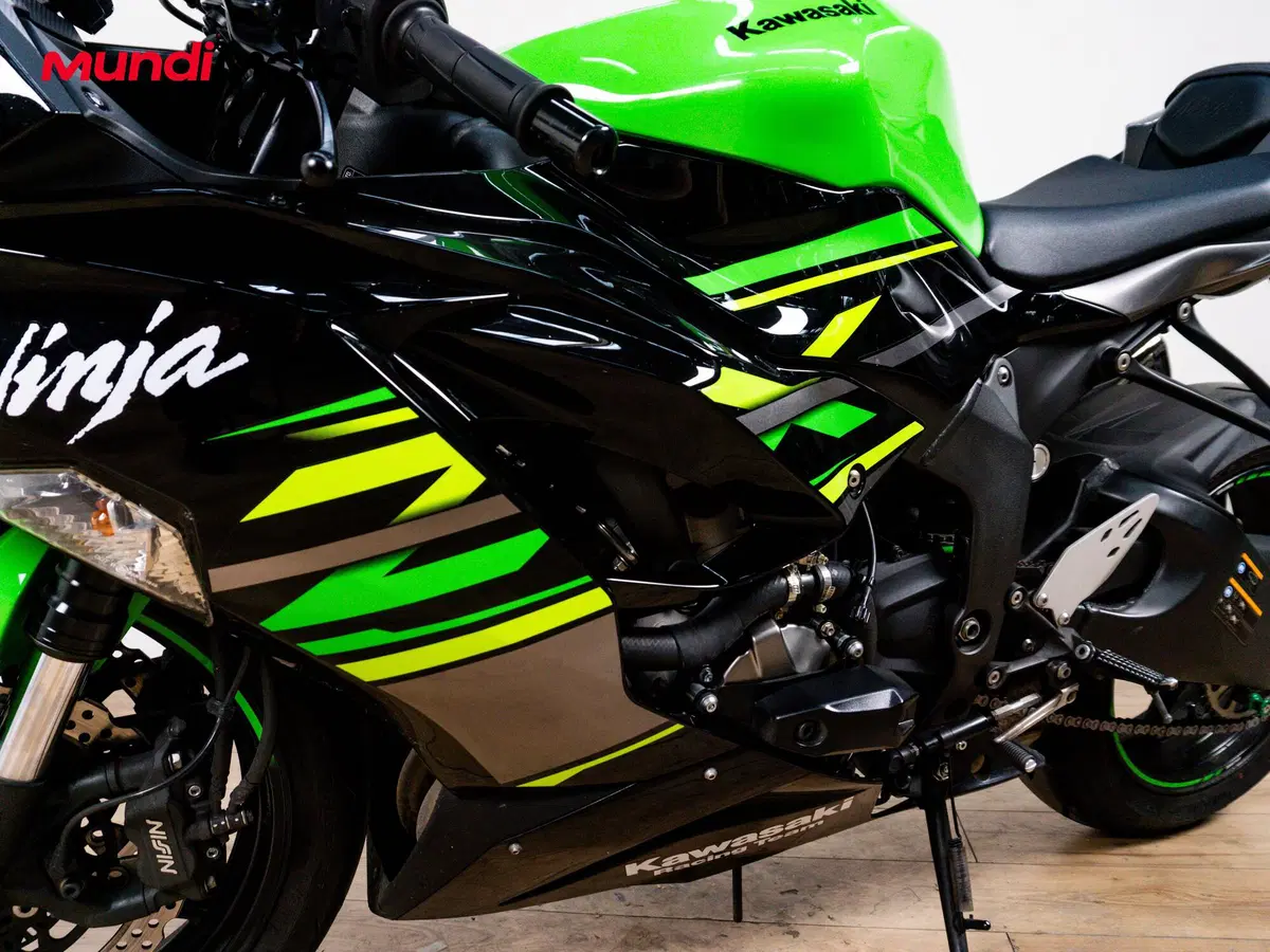Kawasaki Ninja 636 ZX-6R KRT (2019 - 20) (9)
