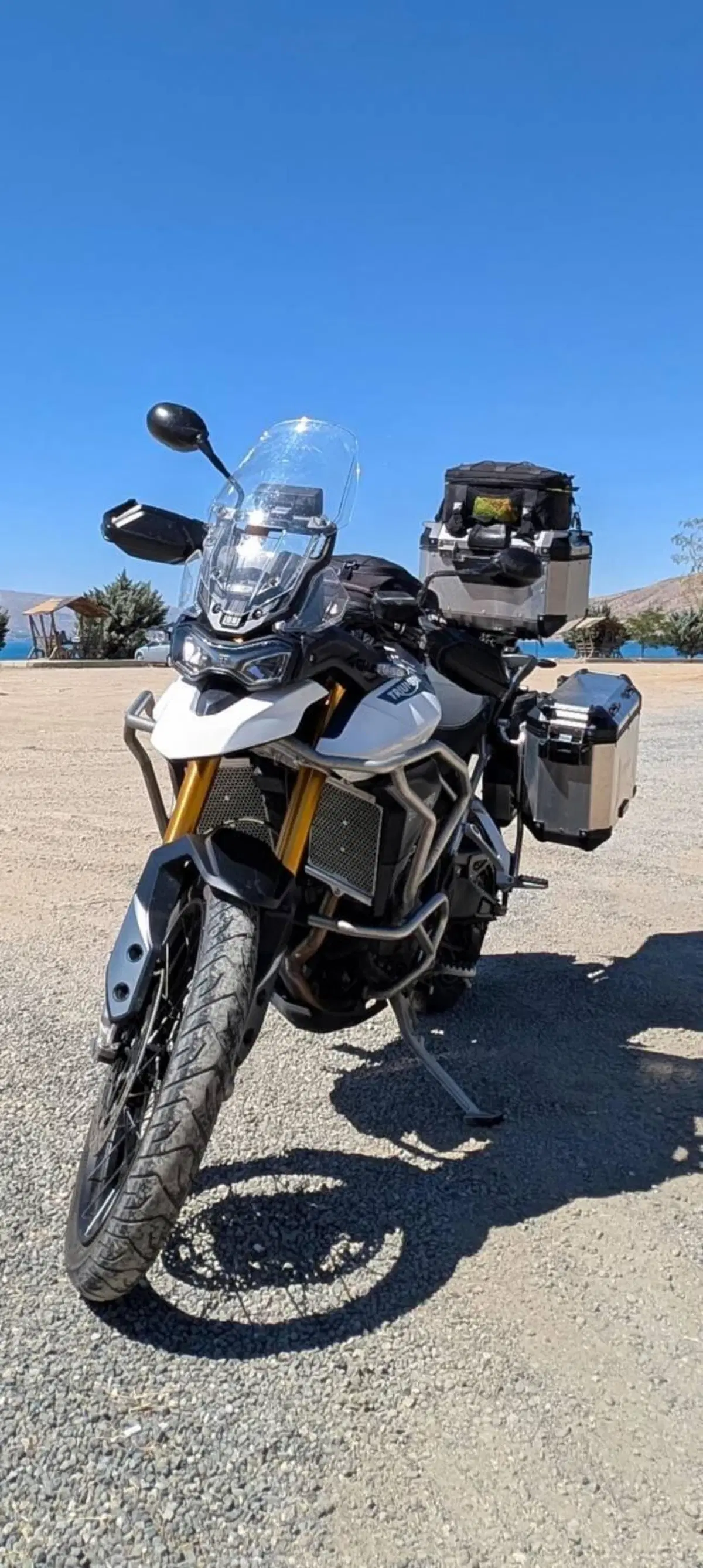 Triumph Tiger 900 Rally (2020 - 23)