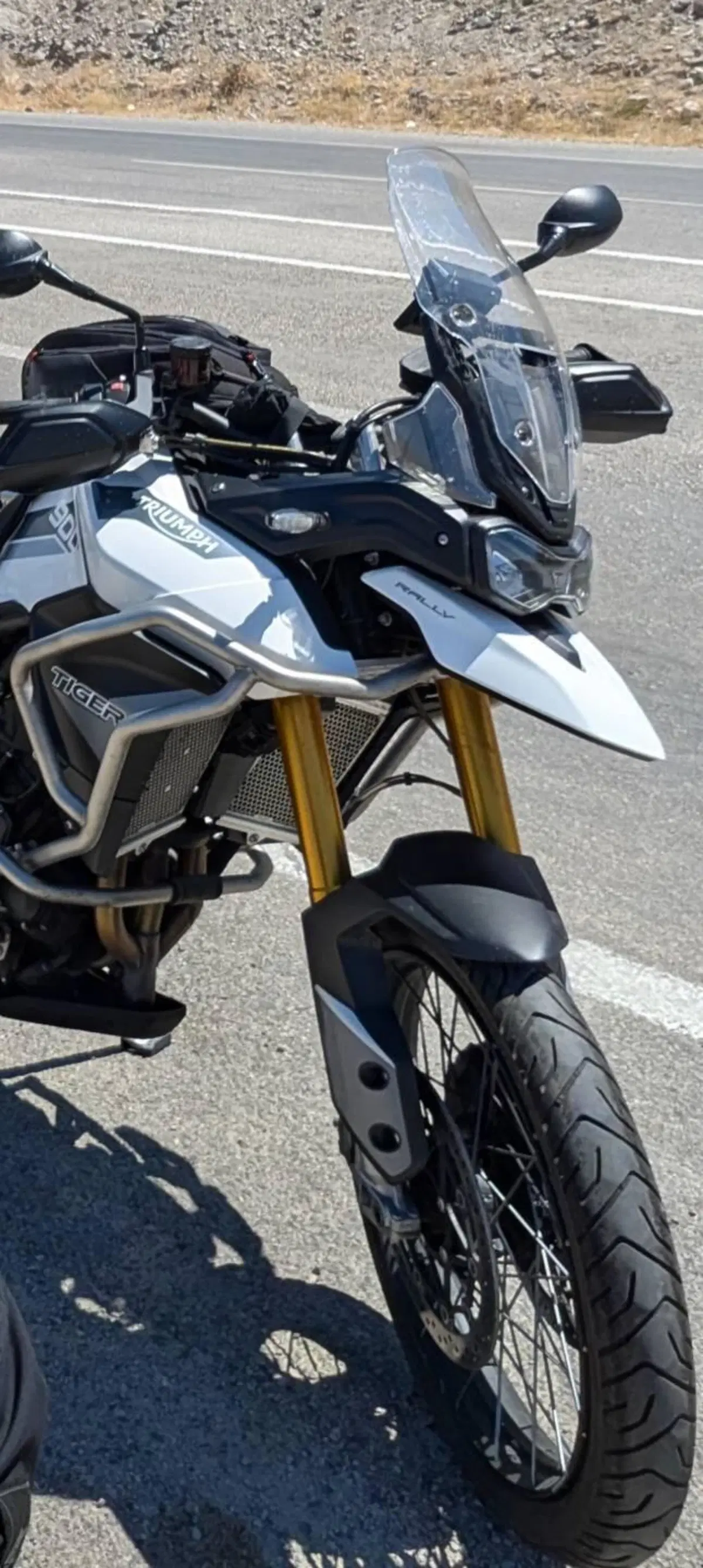 Triumph Tiger 900 Rally (2020 - 23) (2)
