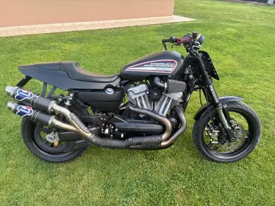 Harley-Davidson 1200 XR (2009 - 12) usata
