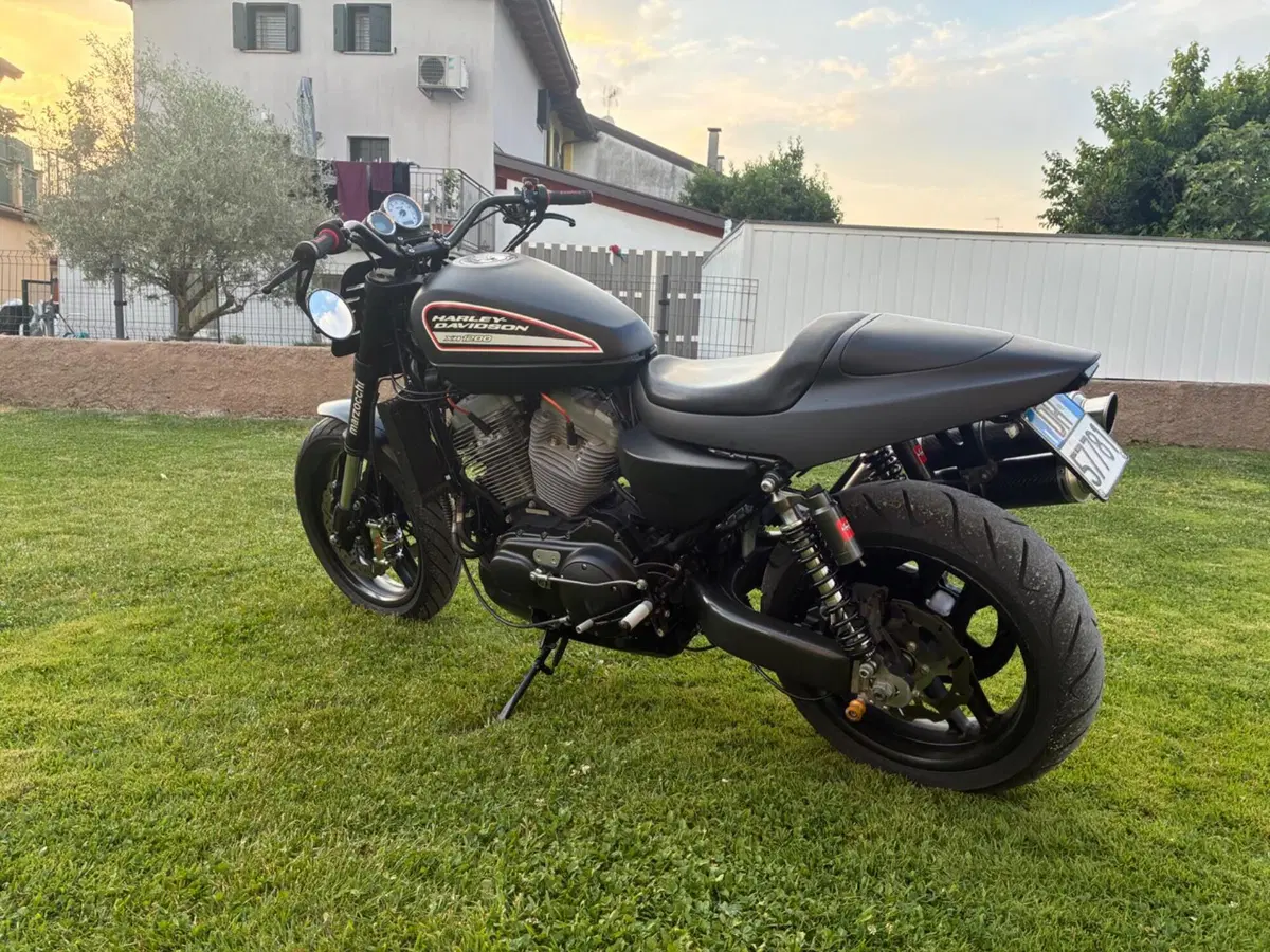 Harley-Davidson 1200 XR (2009 - 12) (4)