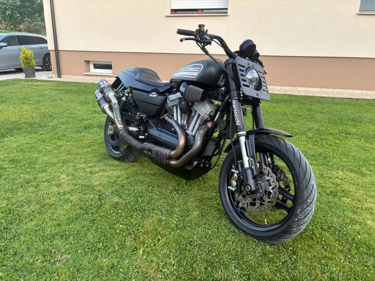 Harley-Davidson 1200 XR (2009 - 12) (5)