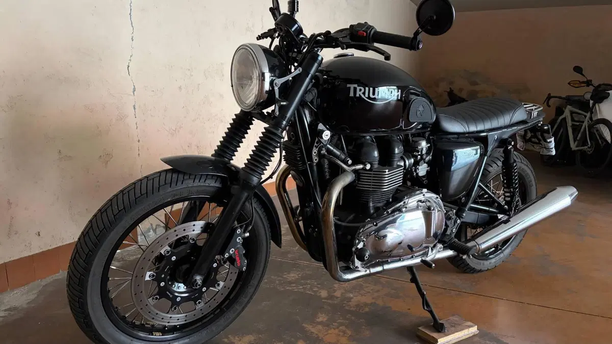 Triumph Thruxton 900 (2004 - 15) (2)