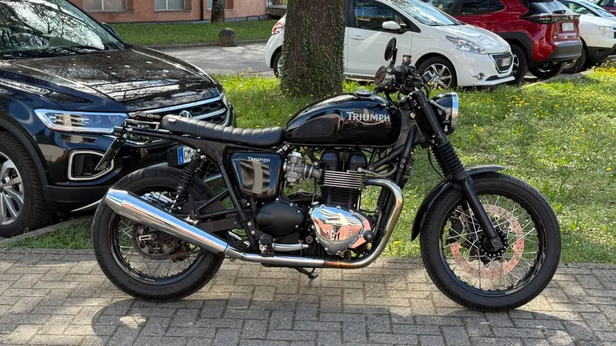 Triumph Thruxton 900 (2004 - 15)