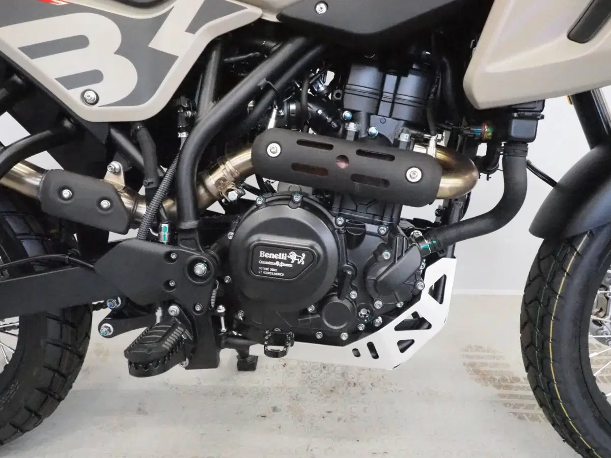 Benelli BKX 300 (2026) (3)